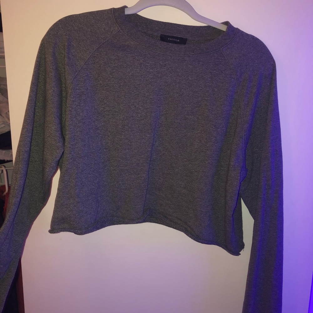Aritzia cropped crew neck sweatshirt